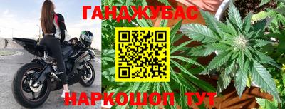 ECSTASY Бердск